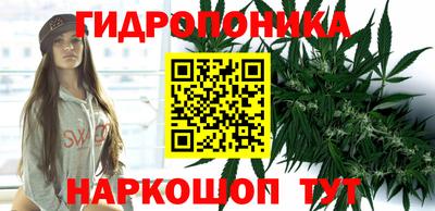 крисы Изобильный