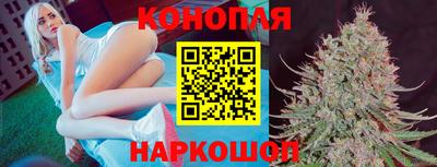 крисы Изобильный
